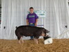 Champion AOB: Coffe County Swine Showdown & Tri County Fair