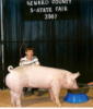 Grand Champion Market Hog Seward Co. Fair;  4th place Overall  @ SW Kansas Classic; Rs Cross & 3rd Overall @ 5 State Fair