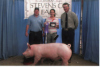 Grand Champion Market Hog - Stevens County Fair